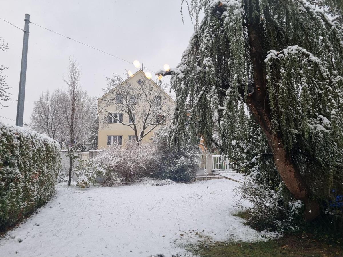 Villa With Private Sauna And Jacuzzi, 8 Min From Schloss Schoebrunn Vienna Exterior photo